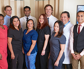 Meet Our Team